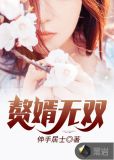 赘婿无双向阳的心