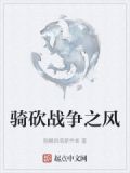 骑砍战争之风亲卫