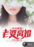 开局就和老婆离婚txt免费下载