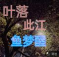 秋风叶落梦醒小说