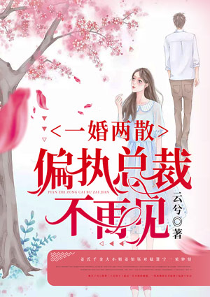一婚两散:偏执总裁不再见