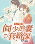 天才萌宝:阎少追妻套路深