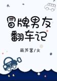 冒牌男友翻车记 葫芦酱