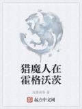 猎魔人在霍格沃茨txt下载