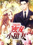冷面总裁独宠小甜妻董正楠
