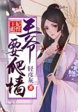 启禀王爷王妃又去爬墙了