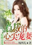 假婚真爱,总裁的心尖宠妻