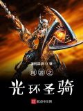 网游数码之圣骑荣耀