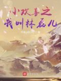 小欢喜我是林磊儿第八区