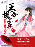 爆笑小萌妃:王爷榻上来