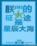 综朕的征途是星辰大海