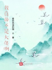 我真的不是大佬全文阅读