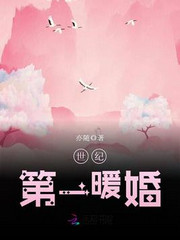 世纪第一暖婚 小说