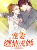 宠妻成瘾全文免费