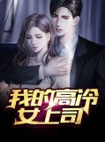 我的高冷女上司陈启明林冰