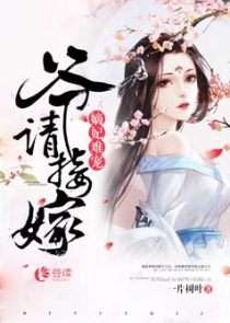 嫡妃难宠,爷请接嫁