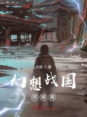 幻想战国照瞑篇