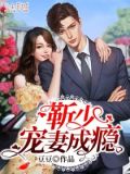 靳少,宠妻成瘾