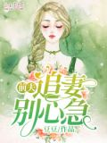前夫,追妻别心急