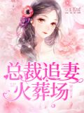 总裁追妻火葬场