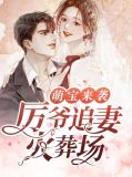 萌宝来袭:厉爷追妻火葬场