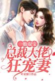 一胎双宝:总裁大佬狂宠妻