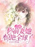 总裁,你前妻她惊艳全球了
