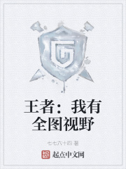王者:我有全图视野