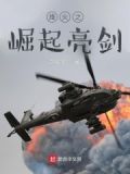 烽火英雄传免费播放亮剑