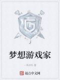 梦想改造家游戏不能升级