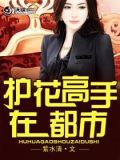 护花高手在都市主角