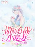 傲娇总裁小宠妻