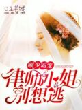 顾少霸宠:律师小姐别想逃