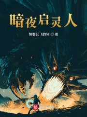 暗夜启灵人