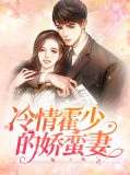 霍少暖妻狠迷人 小说