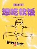 我真不想吃软饭txt下载