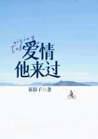 爱情,他来过全文阅读
