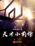 天才小前锋