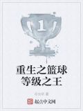 重生之篮球等级之王