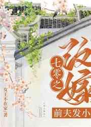 七零之改嫁前夫发小txt百度云资源