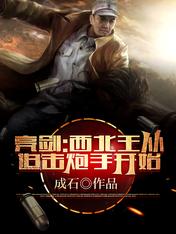 亮剑:西北王从迫击炮手开始