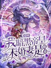铠甲:我暗黑帝皇!未婚妻是敏慈