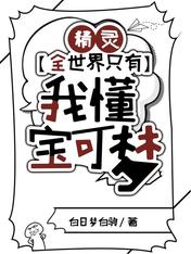 精灵:全世界只有我懂宝可梦