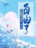 在稻妻卖艺三个月,自由了