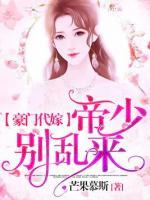 豪门代嫁,帝少别乱来
