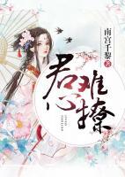君心难撩小说宇文吉 宇文恒个是老几