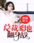 神秘萌宝:总裁爹地翻身战
