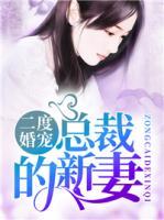 二度婚宠:总裁的新妻