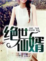 绝世仙芒小说