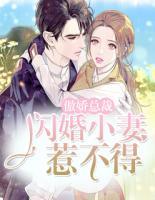 闪婚甜宠,傲娇总裁体力好